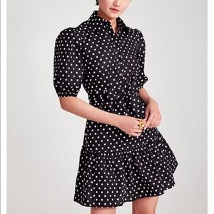 Kate spade polka dot shirt dress
